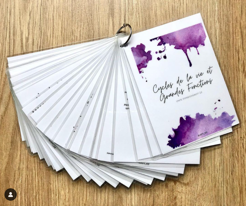 Carte Cadeau 🎁